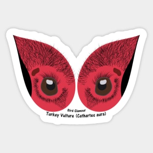 Turkey Vulture Eyes Sticker